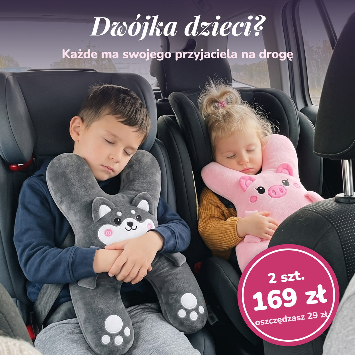 Rodzeństwo śpi w aucie: świnka i piesek, 2 sztuki za 169 zł