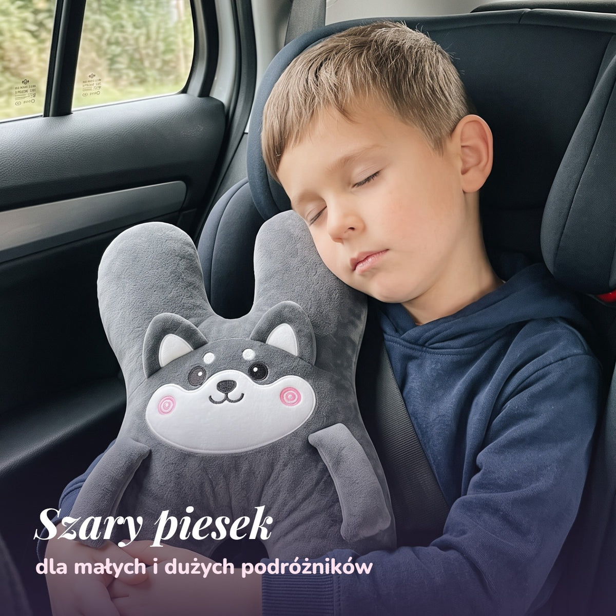 Chłopiec śpi w aucie przytulony do szarego pieska