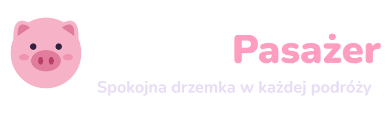 Śpiący Pasażer